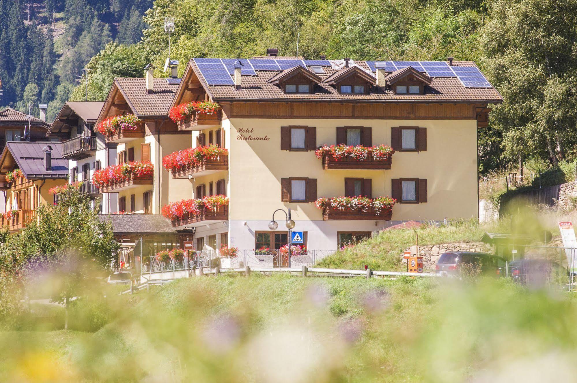 Hotel Pezzotti เปลลิซซาโน ภายนอก รูปภาพ